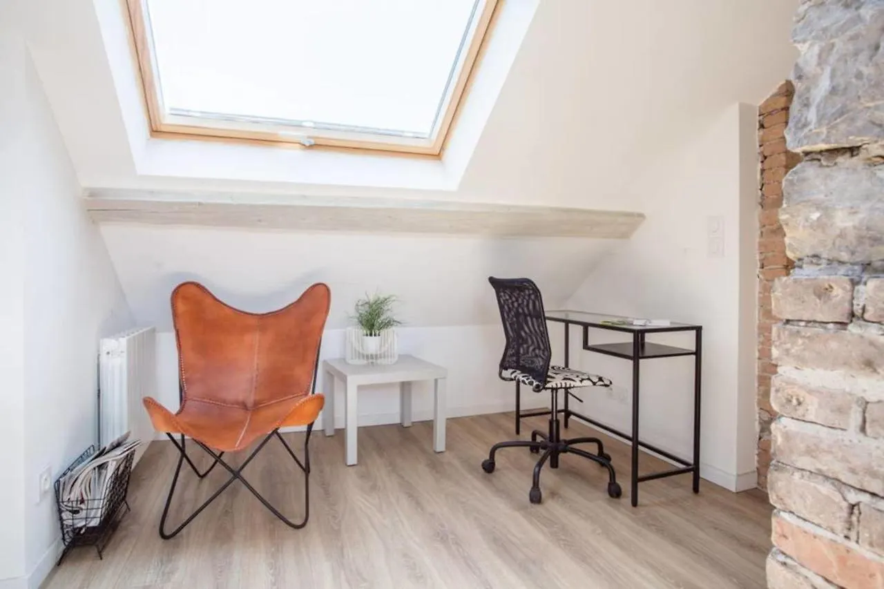 Les Bons Enfants Quartier Champollion Hypercentre #F4 Apartment Grenoble France