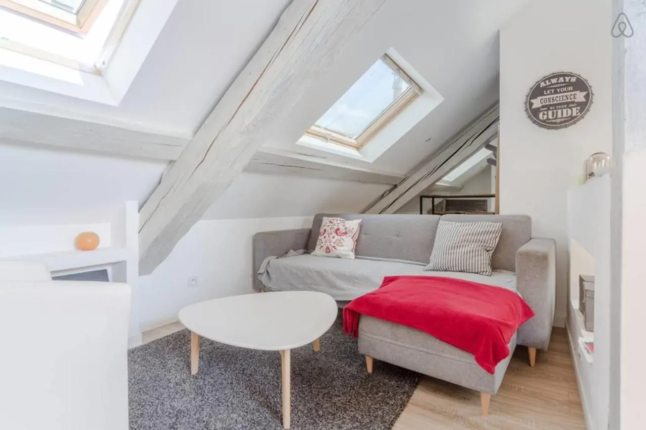 Les Bons Enfants Quartier Champollion Hypercentre #F4 Apartment Grenoble France